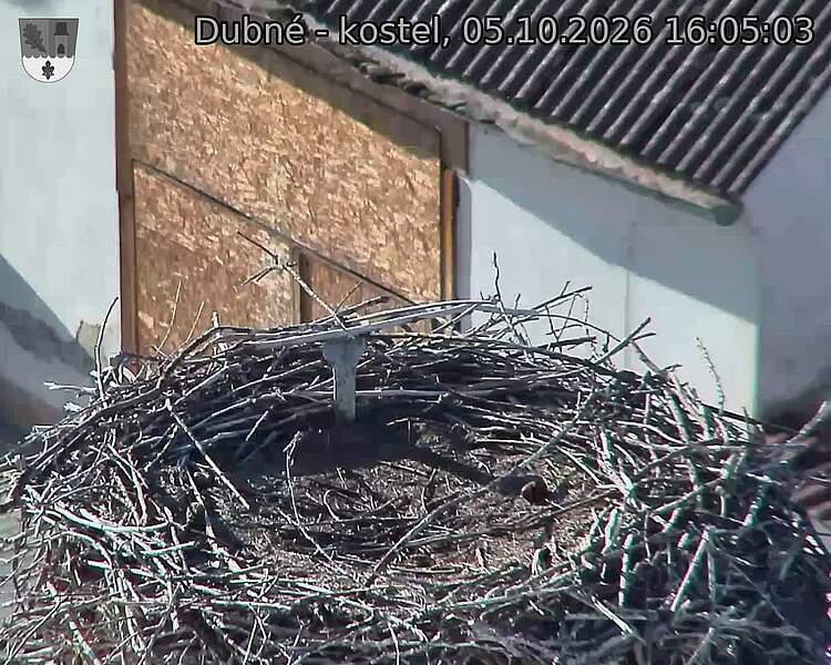 preload