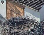Capi_Dubne_20261005_162503.jpg
