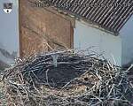 Capi_Dubne_20261005_170504.jpg