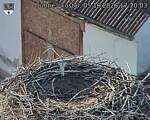 Capi_Dubne_20261005_172003.jpg