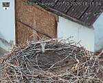 Capi_Dubne_20261005_181004.jpg