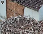 Capi_Dubne_20261005_181504.jpg