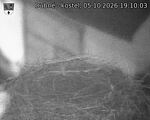 Capi_Dubne_20261005_191003.jpg