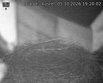 Capi_Dubne_20261005_192002.jpg
