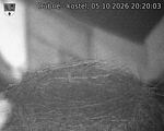 Capi_Dubne_20261005_202003.jpg