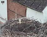 Capi_Dubne_20261006_070004.jpg