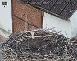 Capi_Dubne_20261006_072502.jpg