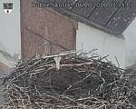 Capi_Dubne_20261006_073503.jpg