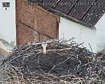 Capi_Dubne_20261006_074003.jpg