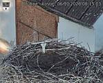 Capi_Dubne_20261006_081503.jpg