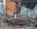 Capi_Dubne_20261006_084003.jpg