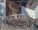Capi_Dubne_20261006_092503.jpg