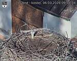 Capi_Dubne_20261006_093004.jpg