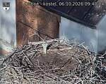 Capi_Dubne_20261006_094004.jpg