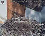 Capi_Dubne_20261006_100004.jpg