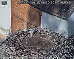 Capi_Dubne_20261006_100504.jpg