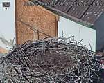 Capi_Dubne_20261006_115004.jpg