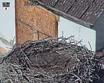Capi_Dubne_20261006_122504.jpg
