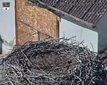Capi_Dubne_20261006_135503.jpg
