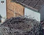 Capi_Dubne_20261006_141004.jpg