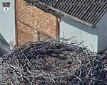 Capi_Dubne_20261006_152004.jpg