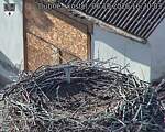 Capi_Dubne_20261006_162003.jpg