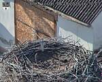 Capi_Dubne_20261006_163003.jpg