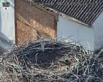 Capi_Dubne_20261006_165003.jpg