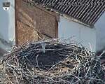 Capi_Dubne_20261006_170003.jpg