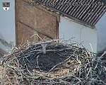 Capi_Dubne_20261006_171504.jpg