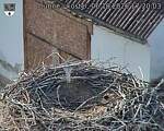 Capi_Dubne_20261006_172003.jpg
