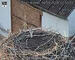 Capi_Dubne_20261006_175002.jpg