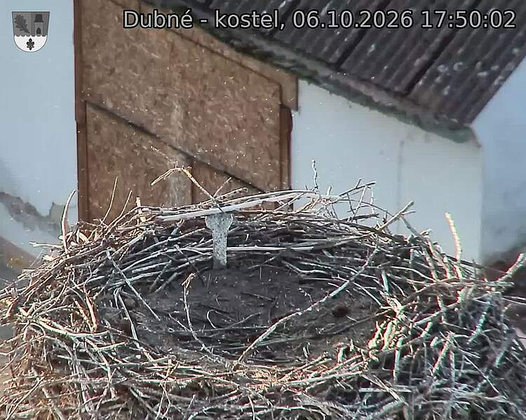 Capi_Dubne_20261006_175002.jpg (1350&nbsp;x&nbsp;1080)