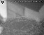 Capi_Dubne_20261006_190502.jpg