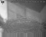 Capi_Dubne_20261006_233320.jpg