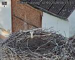 Capi_Dubne_20261007_081503.jpg