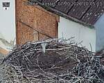 Capi_Dubne_20261007_100503.jpg