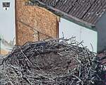 Capi_Dubne_20261007_131503.jpg