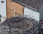 Capi_Dubne_20261007_135503.jpg