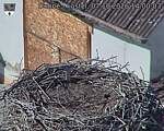 Capi_Dubne_20261007_140003.jpg