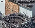 Capi_Dubne_20261007_145503.jpg