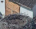 Capi_Dubne_20261007_150003.jpg