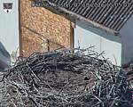 Capi_Dubne_20261007_150503.jpg