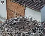 Capi_Dubne_20261007_153503.jpg