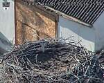 Capi_Dubne_20261007_162504.jpg