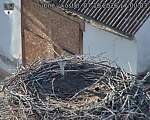 Capi_Dubne_20261007_170003.jpg