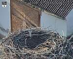 Capi_Dubne_20261007_170503.jpg