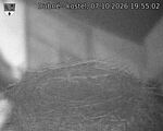 Capi_Dubne_20261007_195502.jpg