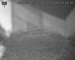 Capi_Dubne_20261007_202003.jpg