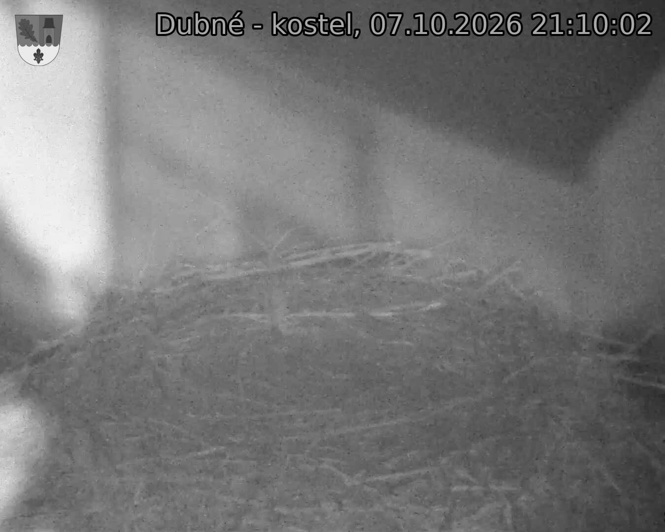Capi_Dubne_20261007_211002.jpg (1350&nbsp;x&nbsp;1080)